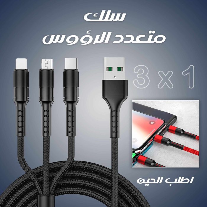 3X1 Charger Cables